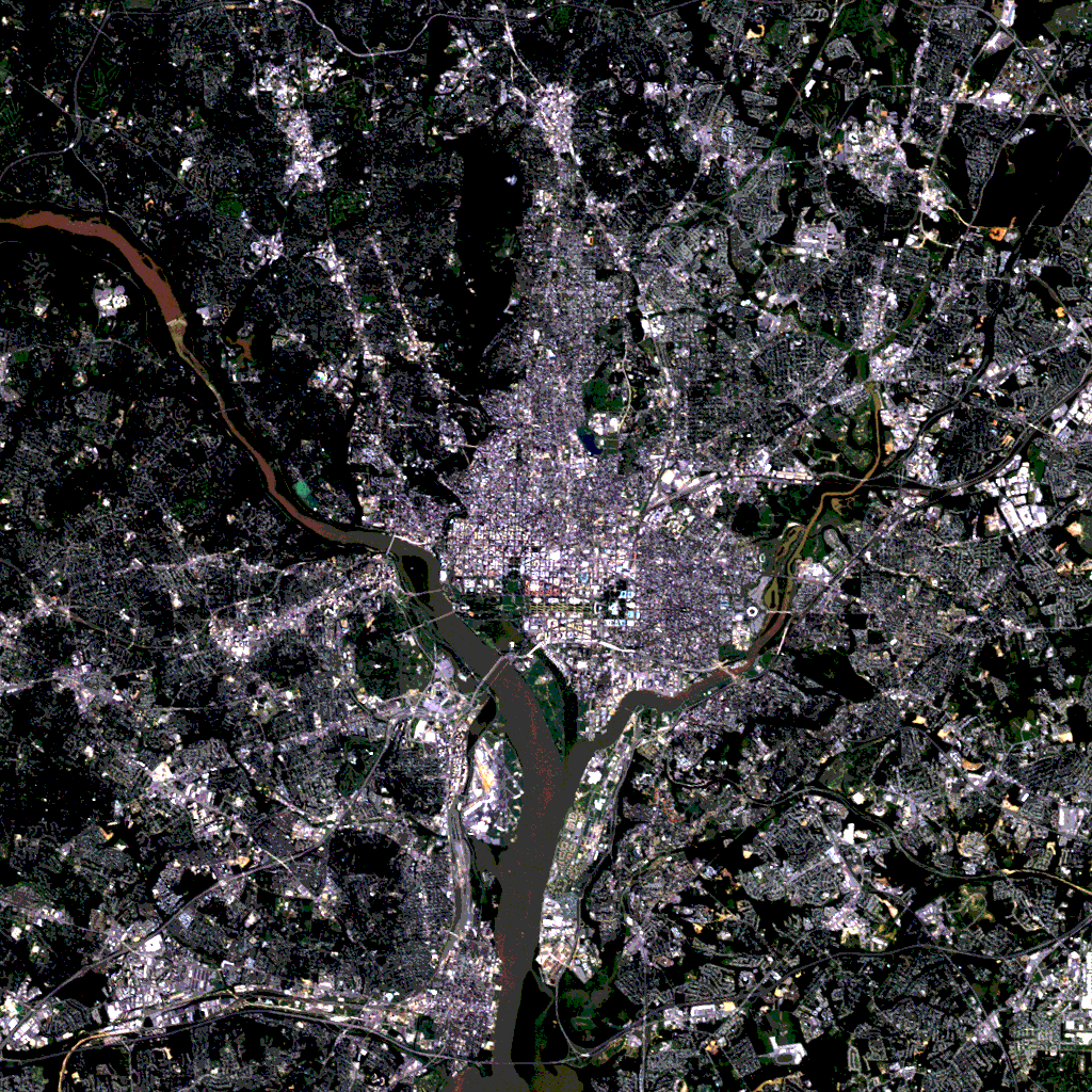 LandSat Picture of Washington, DC