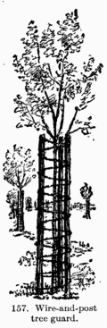 [Illustration: Fig. 157. Wire-and-post tree guard]