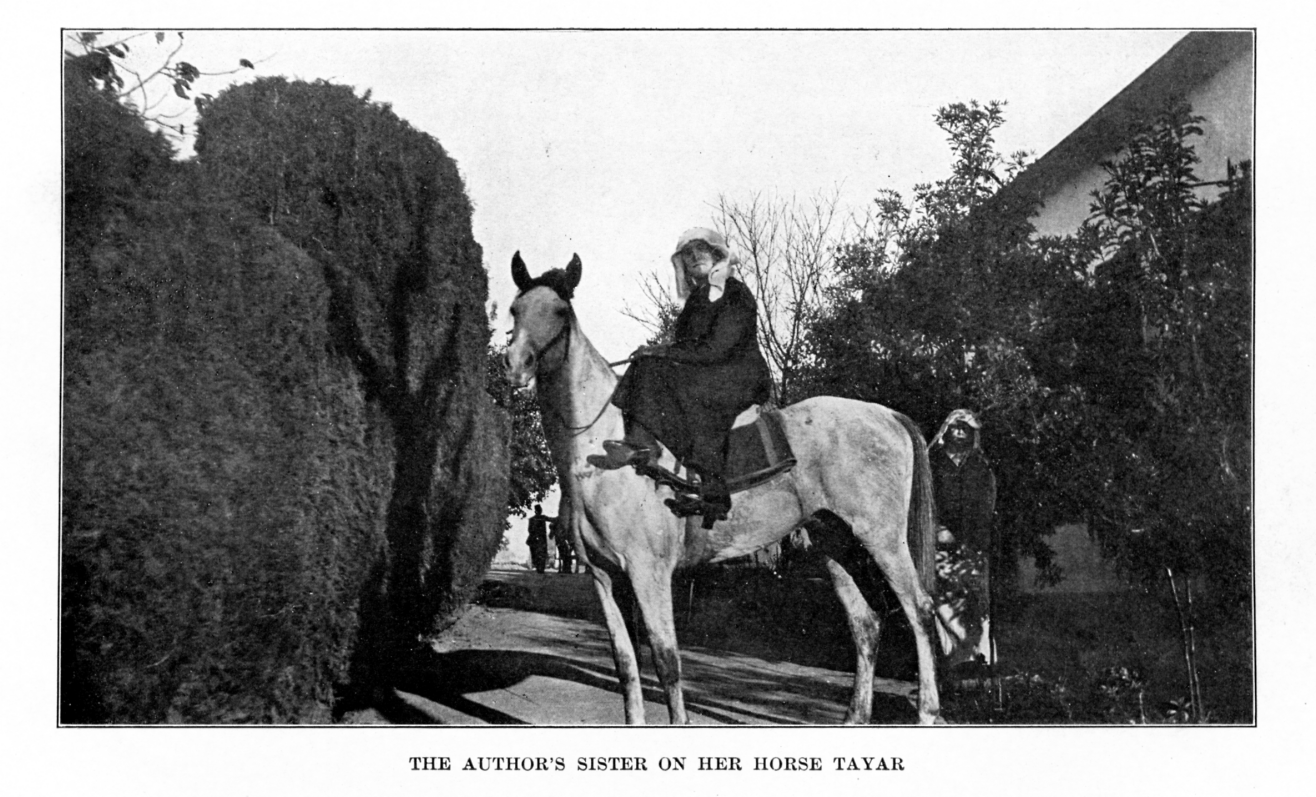 The Author's Sister on Her Horse Tayar