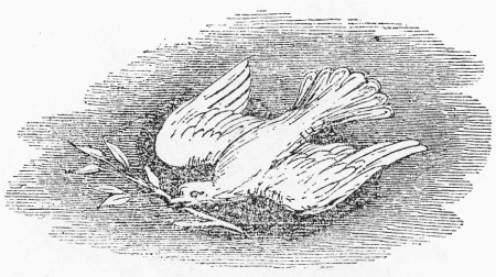 A Dove Carrying an Olive Branch in Its Beak