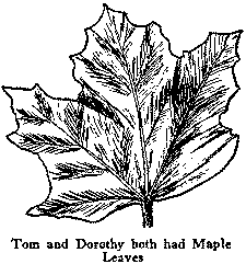 Tom and Dorothy both had Maple Leaves