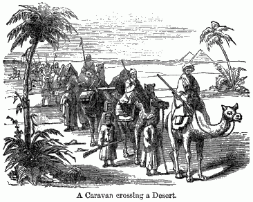 Armed men on camels and on foot.