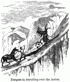 A man leading his horse up a mountain pass while another horse falls back throwing its rider.