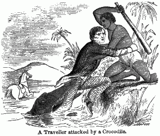 A man with a crocodile biting his leg being pulled from the water by his guide.