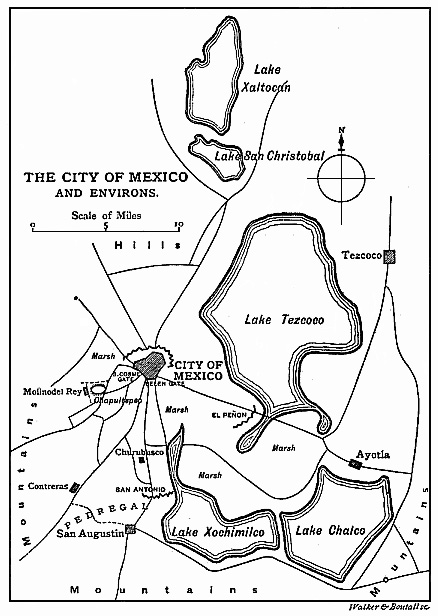 [Illustration: Map of the City of Mexico and environs.]