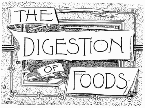 THE DIGESTION OF FOODS.