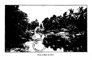 Scene in Eden Gardens.