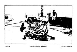 The Burning Ghât, Nimtollah