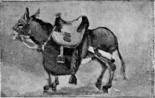 THE DONKEY OF A COREAN OFFICIAL