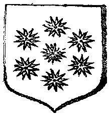 Shield of asterisks