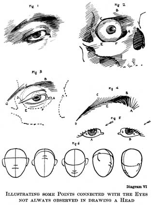 Diagram VI. ILLUSTRATING SOME POINTS CONNECTED WITH THE EYES NOT ALWAYS OBSERVED IN DRAWING A HEAD
