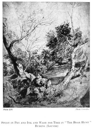 Plate LVI. STUDY IN PEN AND INK AND WASH FOR TREE IN "THE BOAR HUNT" RUBENS (LOUVRE) Photo Giraudon