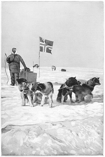 De noorsche vlag, wapperend aan de Zuidpool.