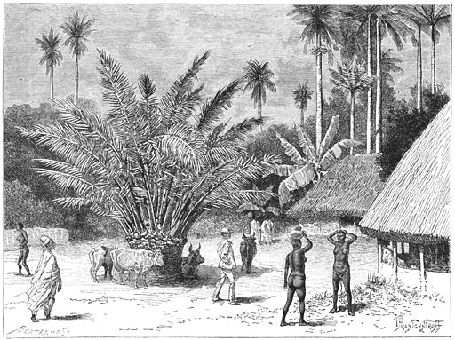 Gezicht in Grand-Talibonche.