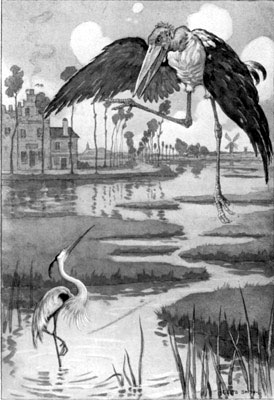 Mr. Stork and Miss Heron (page 178) Mr. Stork and Miss Heron (page 178)