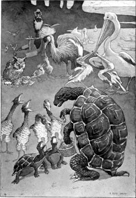 Here are some nice fat wiggly worms! Here are some nice fat wiggly worms!