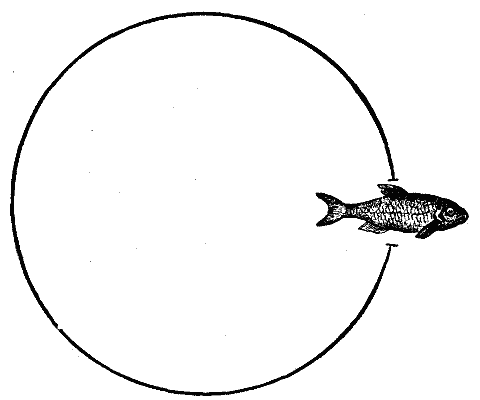 Sunfish hatchery.