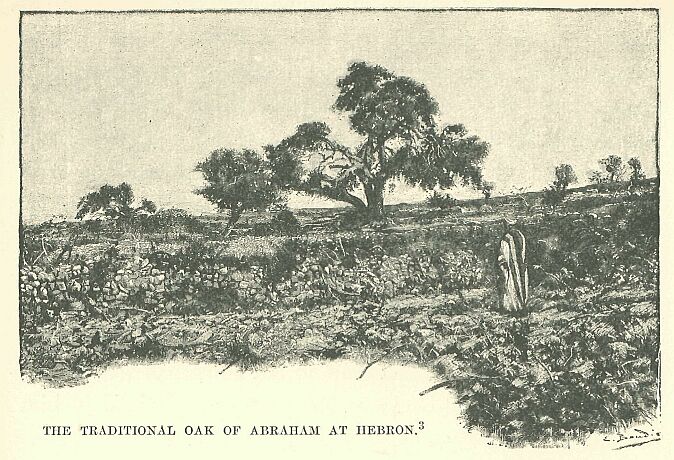 093.jpg the Traditional Oak of Abraham at Hebron 