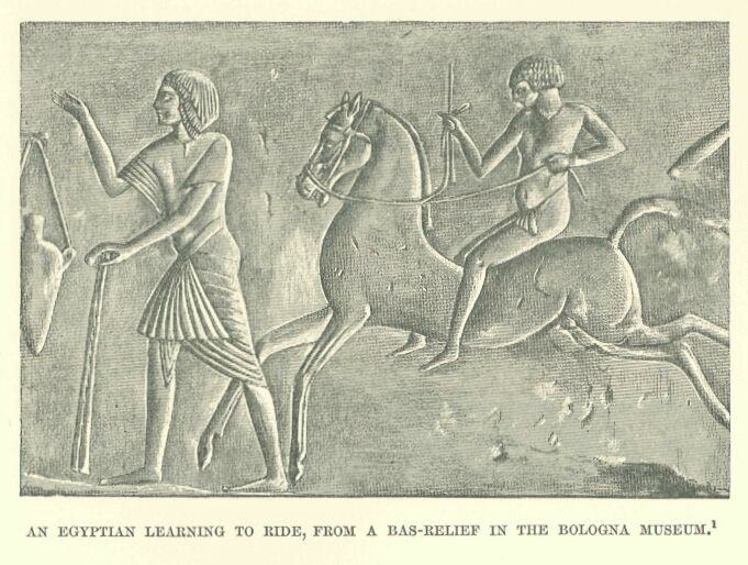 318.jpg an Egyptian Learning to Ride, from a Bas-relief In the Bologna Museum 