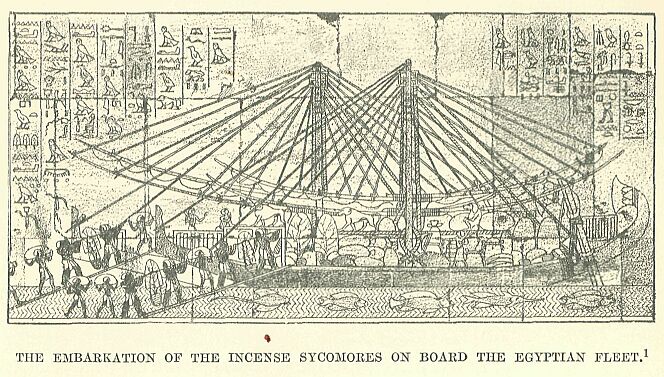 366th Embarkation of The Incense Sycomores On Board the Egyptian Fleet