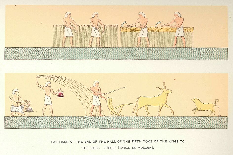 031.jpg Paintings at the End of The Hall Of The Fifth The Tomb