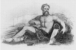 Common Seal Common Seal