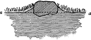 Fig. 2. Transverse section across a large stone, which had lain on a grass-field for thirty-five years.
