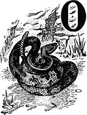 O, decorated with a rattlesnake