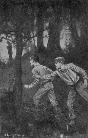 "SH-H-H." SAID TOM IN A TENSE WHISPER. "LOOK--DON'T MOVE." Page 78