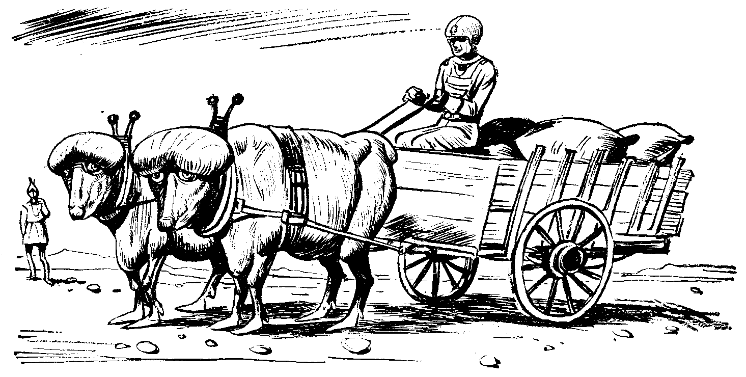 Svant drives new wagon