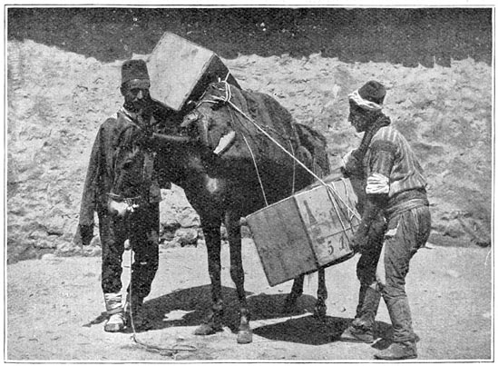 De “bagagewagen” voor Armenië.