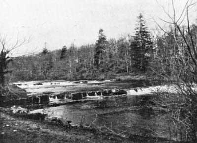 The Liffey The Liffey