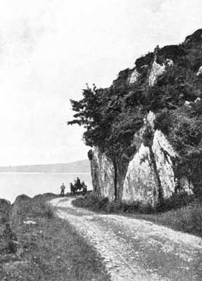 Arbutus Rock Arbutus Rock