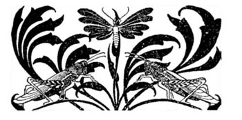 Among the Meadow People Among the Meadow People