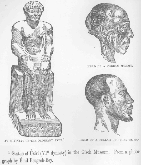 060.jpg Head of a Tileban Mummy. 