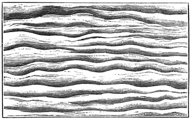 Fig. 15. Versteende golvingen van het water.