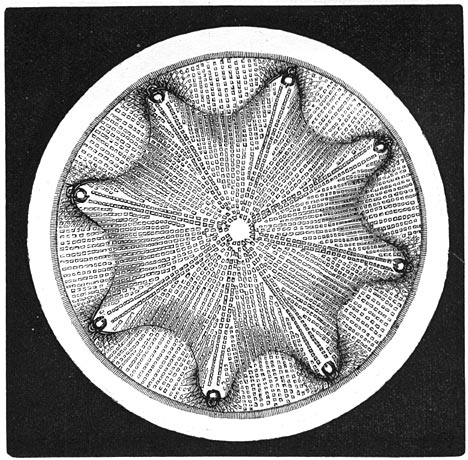Fig. 39. Diatomëe (400 malen vergroot).