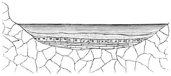 Fig. 86. Wijze van ontstaan der sedimentformaties.