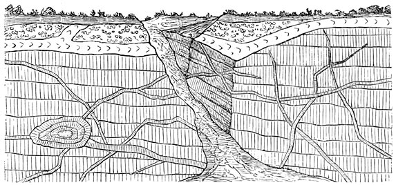 Fig. 97. Aderen, door de laagsgewijze gerangschikte gesteenten.
