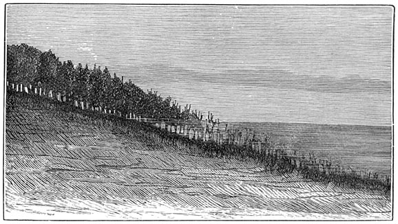 Fig. 113. In zee verzinkend bosch op de kust van Zweden.