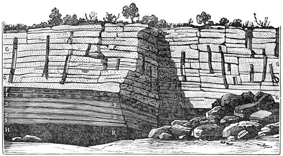 Fig. 146. Fossiele boomen in de steenkolenmijnen van Saint-Etienne.