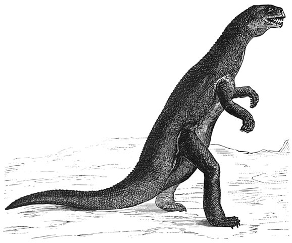 Fig. 207. De zanglodon, dinosauriër der triasperiode (Europa).