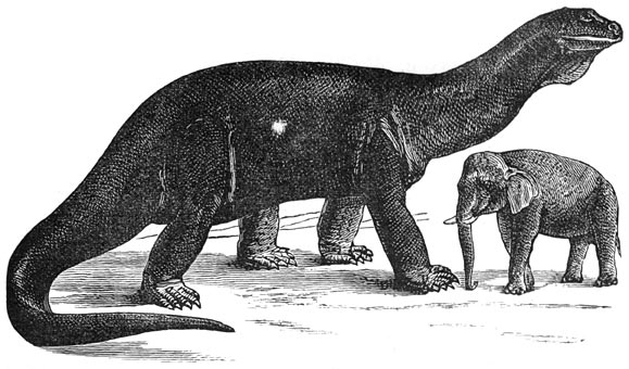 Fig. 222. Waarschijnlijke vorm en grootte van eenen atlantosaurus: het grootste dier der schepping (35 meters).