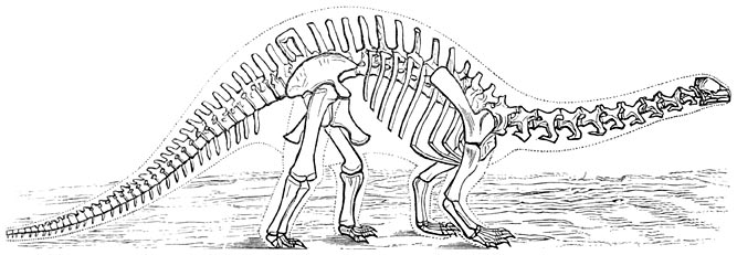 Fig. 223. Dieren der Juraperiode: de brontosaurus (1/125 der ware grootte).