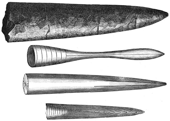Fig. 235. Verschillende kalkscheeden (snavels of rostra) van belemnieten uit de Juraperiode.