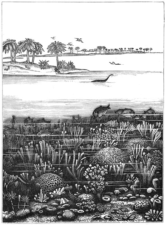 Fig. 247. Fransch landschap in de Juraperiode.