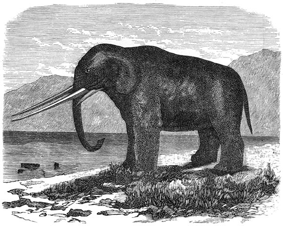 Fig. 292. De mastodon, de voorbode van den olifant. Miocene periode.
