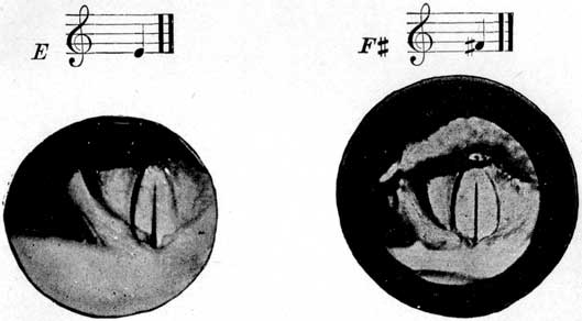 Fig. 51 Fig. 51