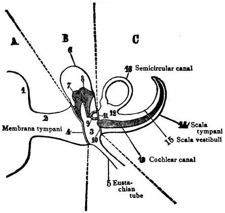 Fig. 61 Fig. 61