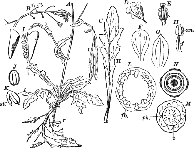 Fig. 93.